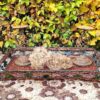 Dienblad Gevlochten Riet Met Metalen Bladeren