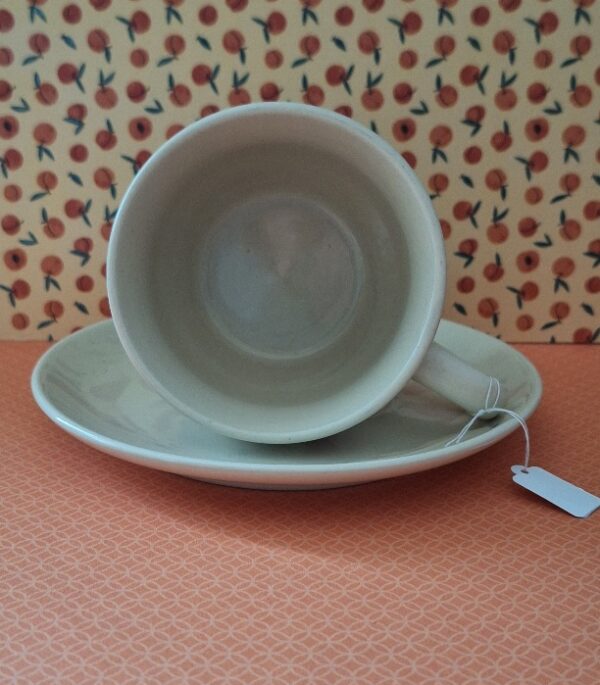 Appel Kop Met Schotel Jet Apple