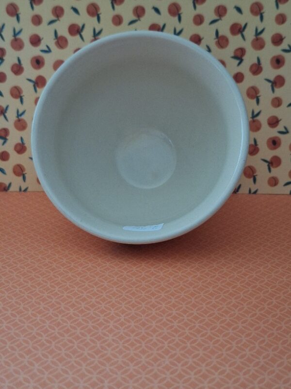 Appel Kommetje Jet Apple