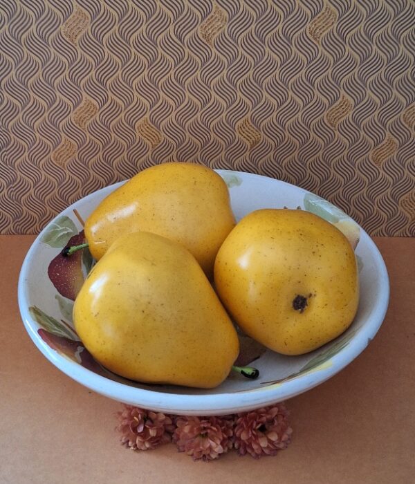 Aardewerk Kom Amsterdam Peren