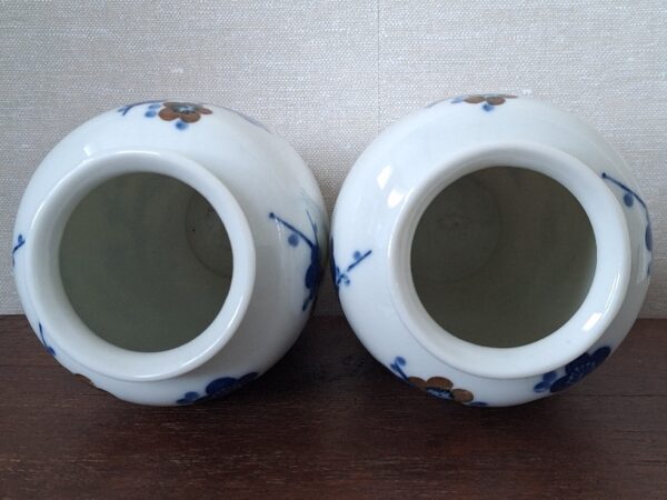 20260201_153935 3 Delig Kaststel Bloesem