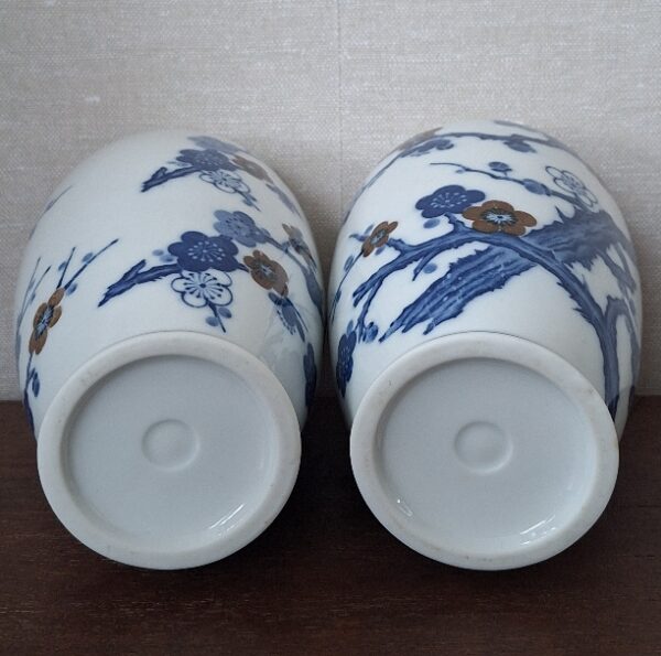 20260201_153959 3 Delig Kaststel Bloesem