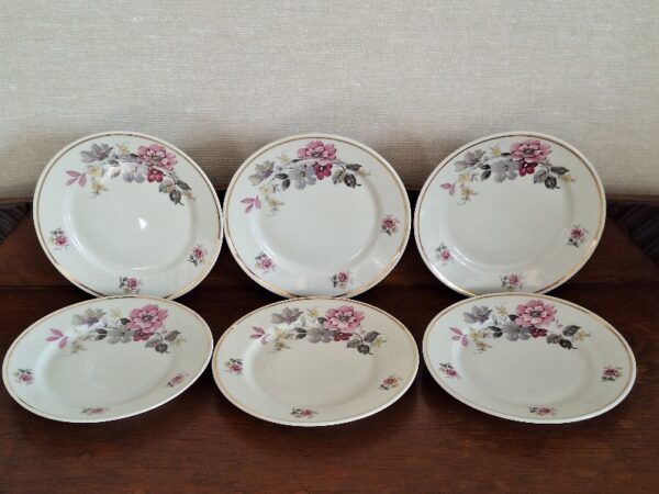 6 Gebaksbordjes Hutschenreuther Evelyn