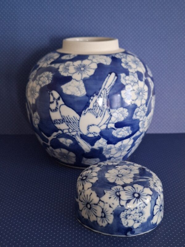 Japanse Gemberpot Middelgroot Prunus Blossem