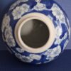 Japanse Gemberpot Middelgroot Prunus Blossem