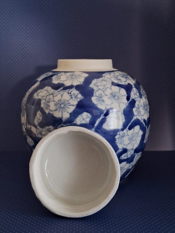 Japanse Gemberpot Middelgroot Prunus Blossem