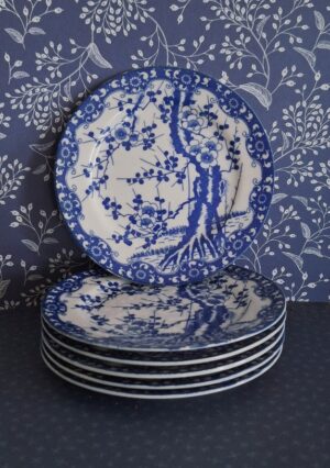 20260210_140321 6 Japanse Gebaksbordjes Prunus Blossem Gemerkt