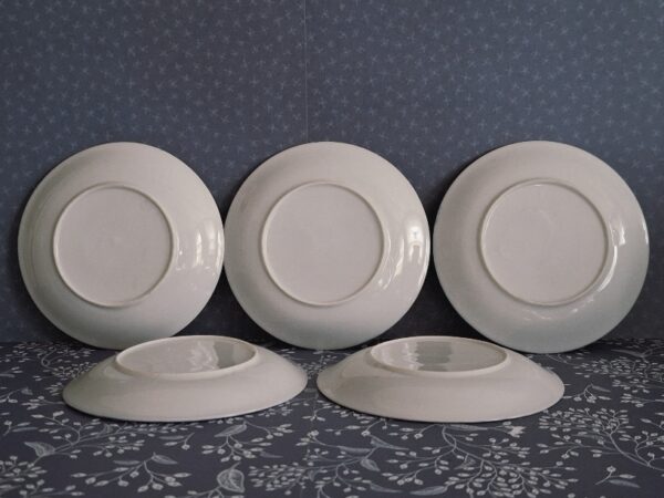 5 Japanse Kop Met Schotels Prunus Blossem