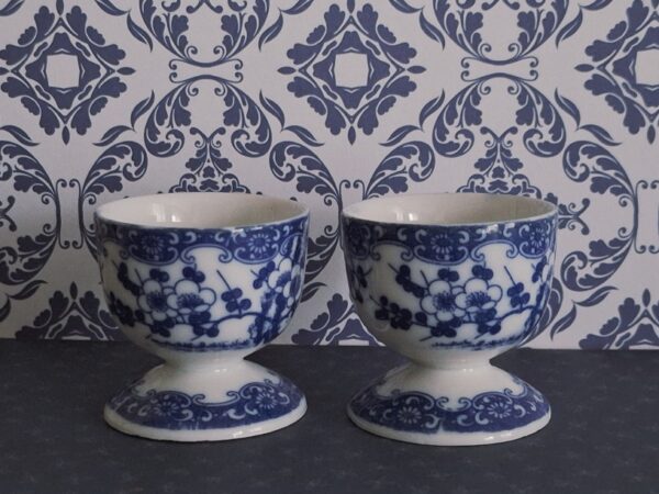 2 Japanse Eierdopjes Prunus Blossem