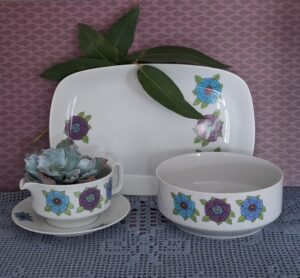 20260219_114425 4 Delig Vintage Servies Eschenbach