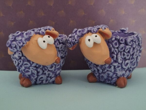 Set 2 eierdopjes Schaapjes