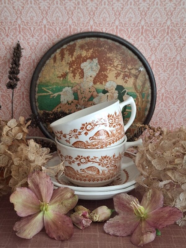 20260301_112933 2 Antieke Kop en Schotels Furnivals Quail
