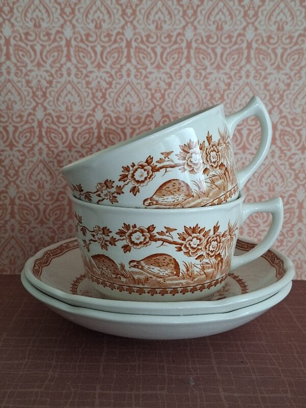 20260301_113128 2 Antieke Kop en Schotels Furnivals Quail