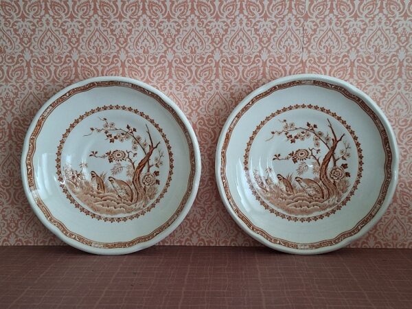 20260301_113438 2 Antieke Kop en Schotels Furnivals Quail