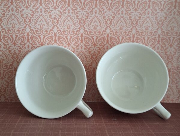 20260301_113646 2 Antieke Kop en Schotels Furnivals Quail