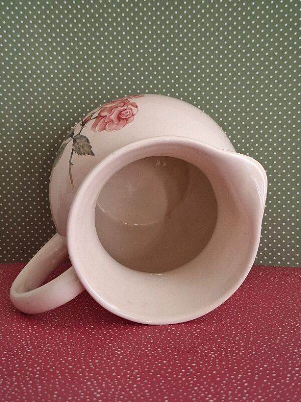 Grote Kan Jet Ter Steege A Rose Is A Rose