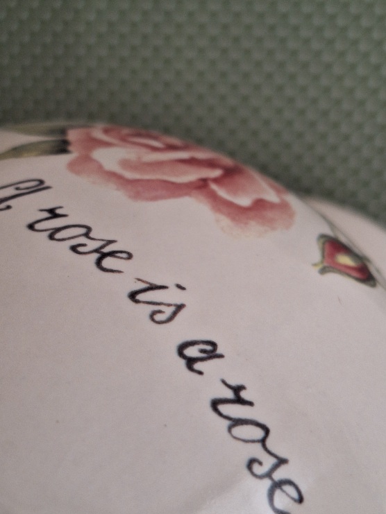 Grote Kan Jet Ter Steege A Rose Is A Rose