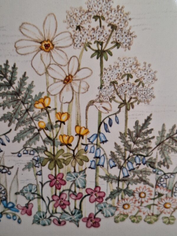 Grote Blikken Trommel Container Botanica