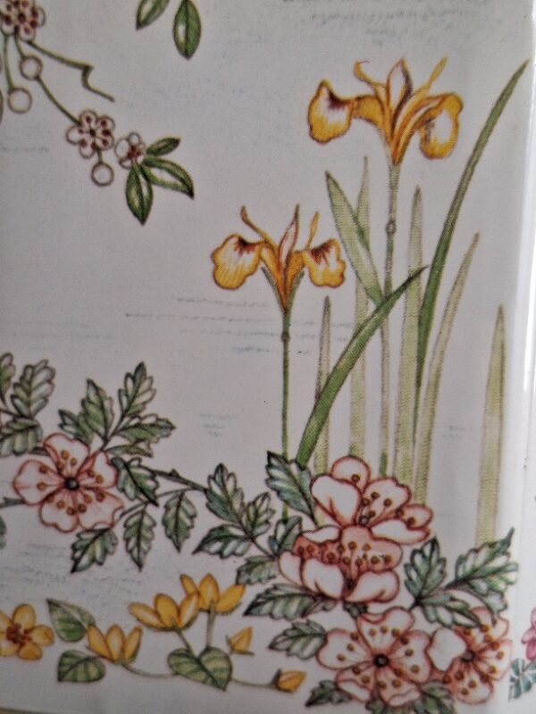 Grote Blikken Trommel Container Botanica