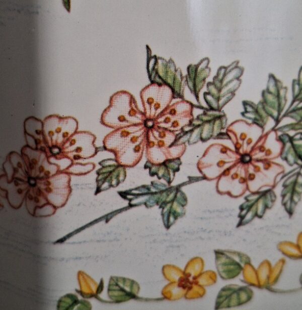 Grote Blikken Trommel Container Botanica