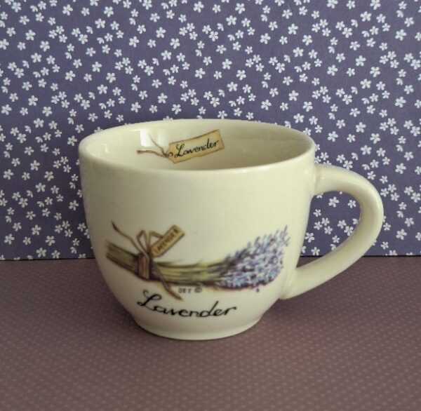 20260414_105357 Kop En Schotel Lavender Jet Ter Steege