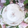 Set 4 Dinnerborden Rosenthal Sancoussi Classic