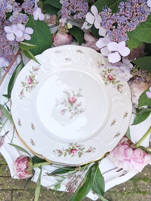 Set 4 Dinnerborden Rosenthal Sancoussi Classic
