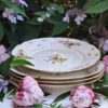 Set 4 Dinnerborden Rosenthal Sancoussi Classic