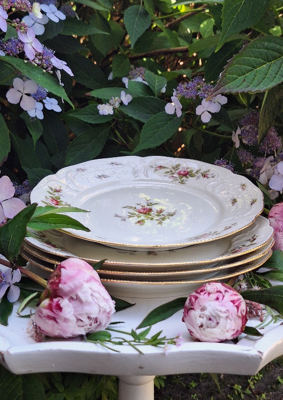 Set 4 Dinnerborden Rosenthal Sancoussi Classic