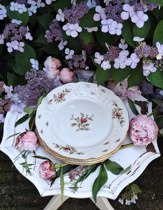 Set 4 Dinnerborden Rosenthal Sancoussi Classic