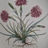 Wandbord Botanica Jubileum Diamanten Huwelijk