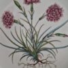 Wandbord Botanica Jubileum Diamanten Huwelijk
