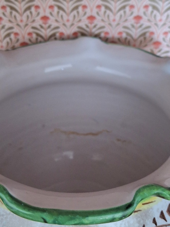 20260922_130811 Majolica Bloempot Italia