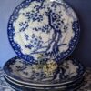 Set 5 Japanse Borden Prunus Blossem