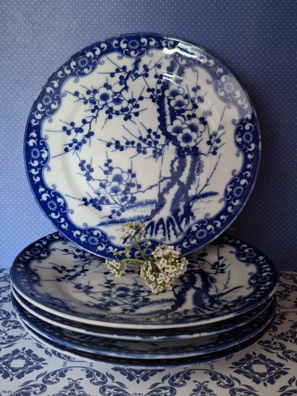 Set 5 Japanse Borden Prunus Blossem