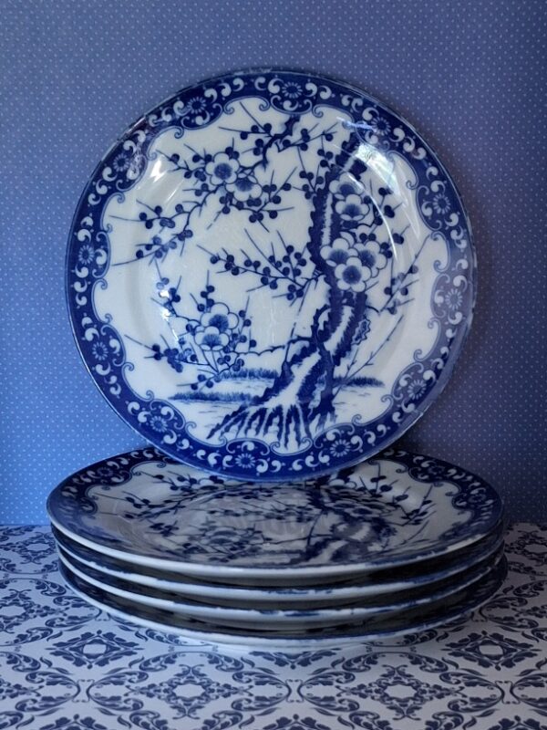 Set 5 Japanse Borden Prunus Blossem